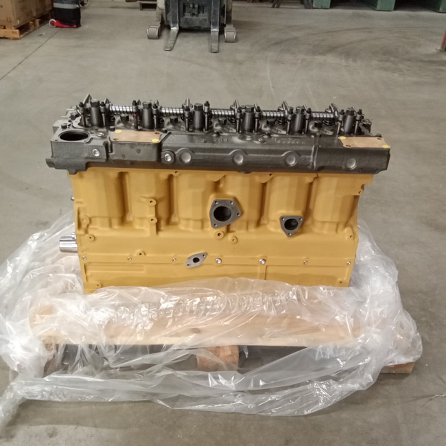 Pic 12341