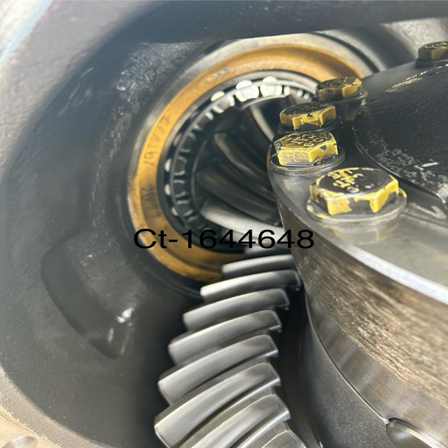 Pic 13671