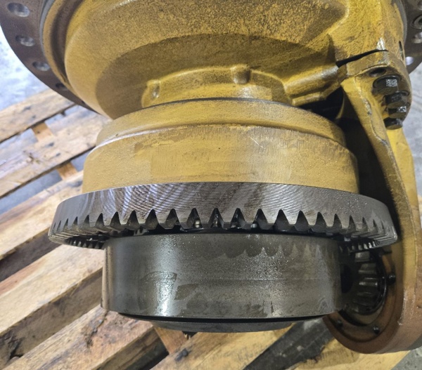 Pic 13788