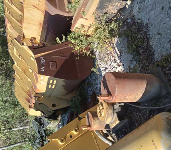 Pic 14649